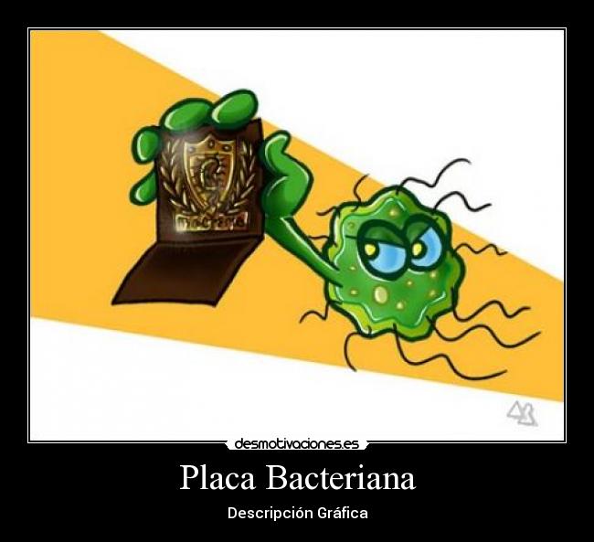 Placa Bacteriana - Descripción Gráfica