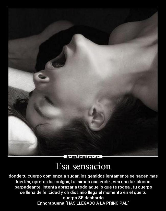 carteles placer desmotivaciones