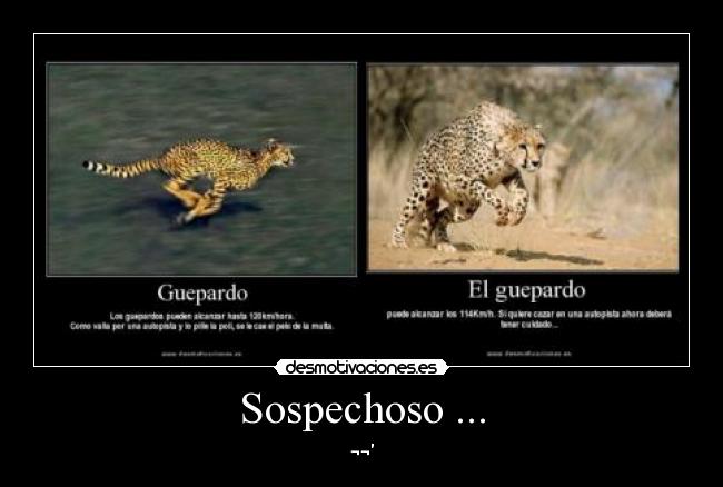 Sospechoso ... - ¬¬