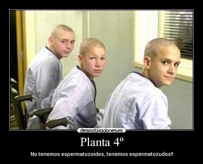 Planta 4º - 