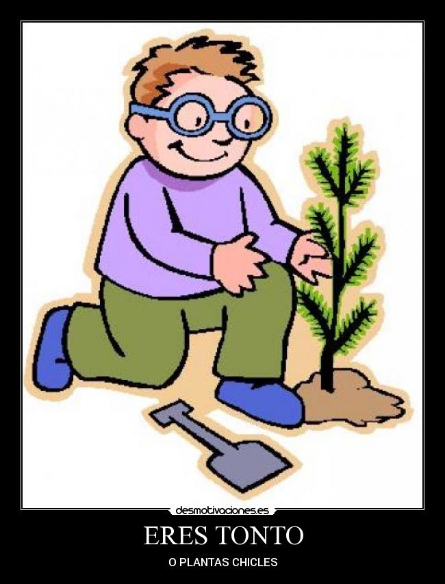 ERES TONTO - O PLANTAS CHICLES