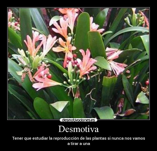 Desmotiva - Tener que estudiar la reproducción de las plantas si nunca nos vamos a tirar a una