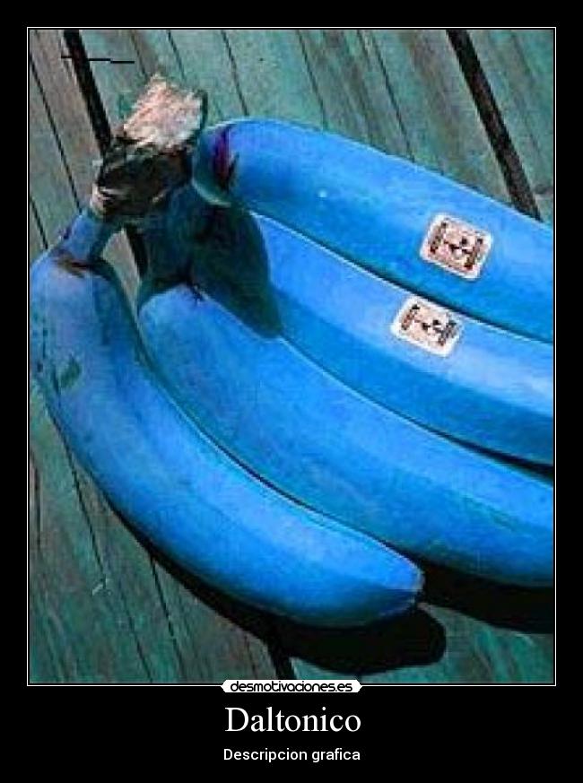 Daltonico - Descripcion grafica