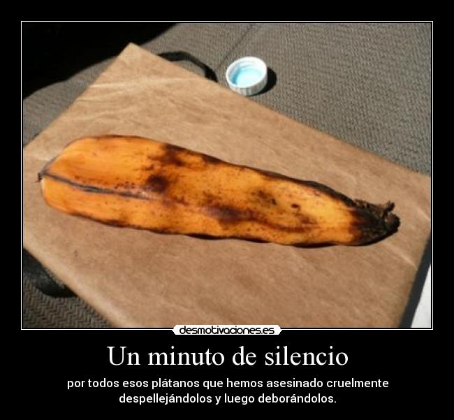 Un minuto de silencio -