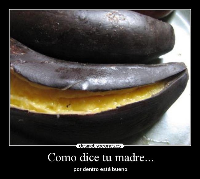 Como dice tu madre... -