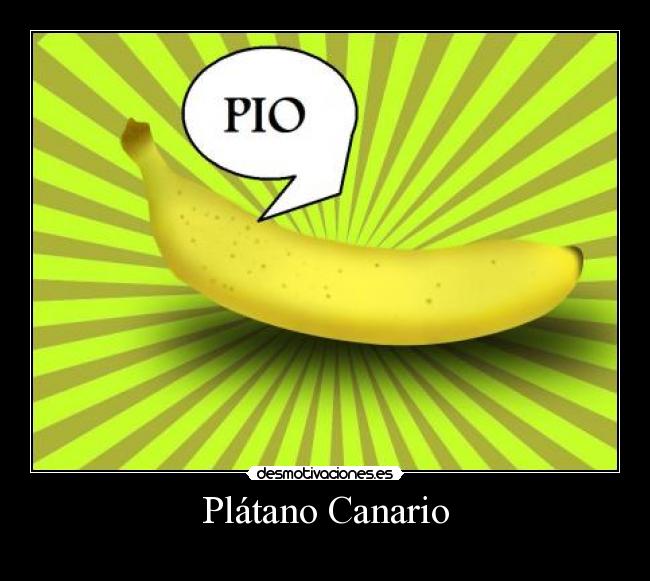 Plátano Canario - 