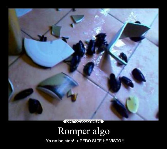 Romper algo - - Yo no he sido! + PERO SI TE HE VISTO !!