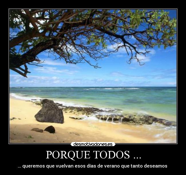PORQUE TODOS ... -