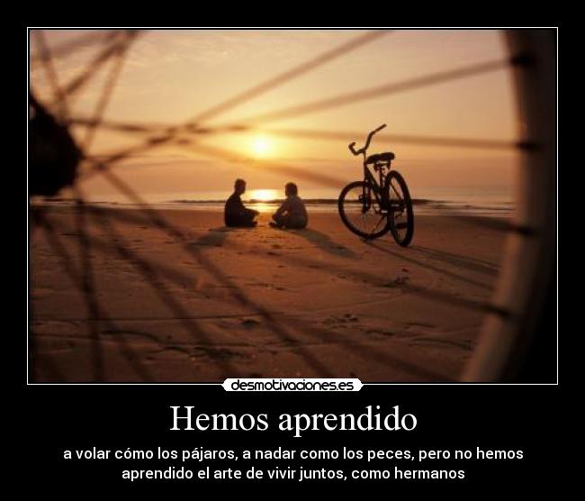 carteles hemos aprendido desmotivaciones