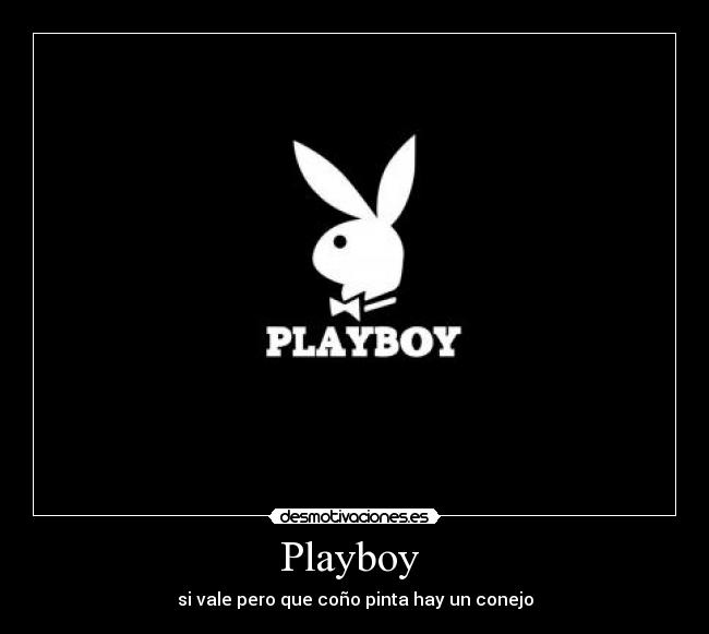 Playboy  - si vale pero que coño pinta hay un conejo