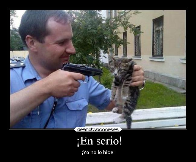 ¡En serio! - ¡Yo no lo hice!