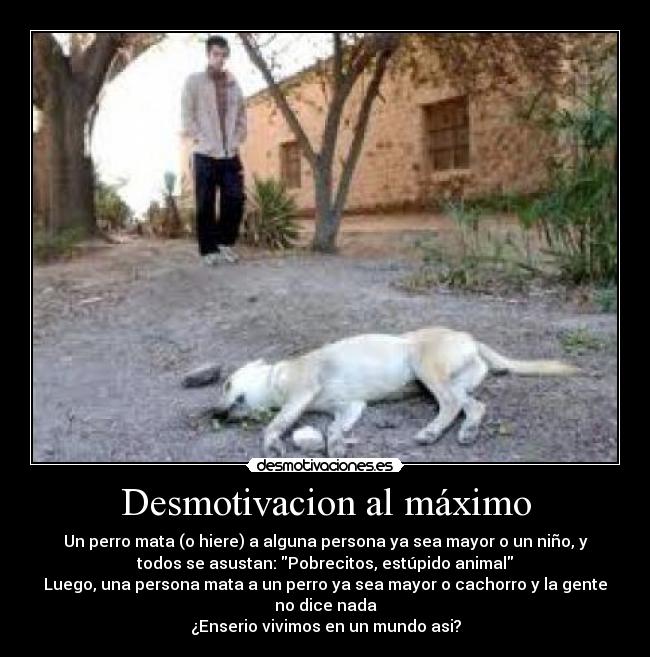 Desmotivacion al máximo - 