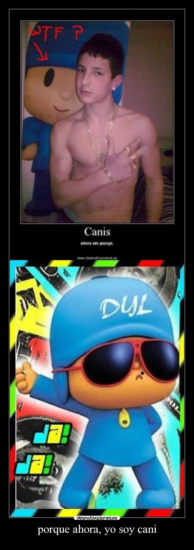 porque ahora, yo soy cani - 