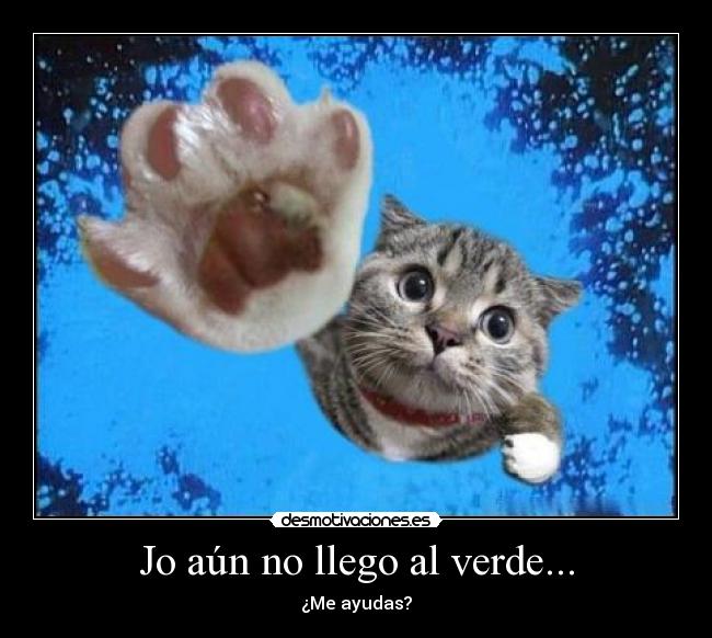 carteles gato desmotivaciones