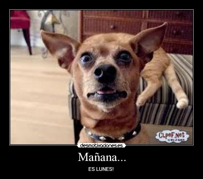 carteles desmotivaciones