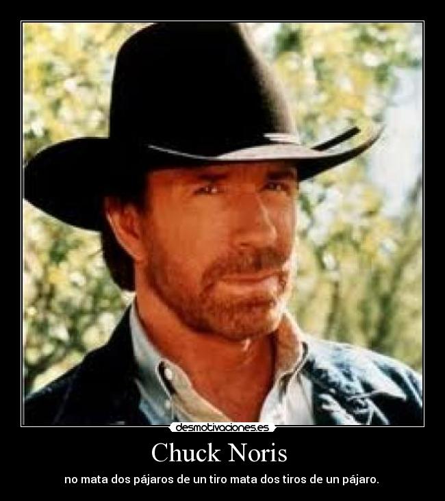 Chuck Noris  - 