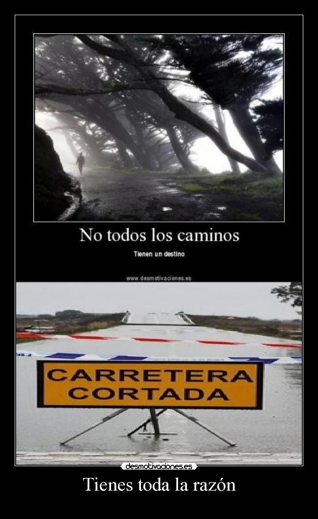 Tienes toda la razón - 