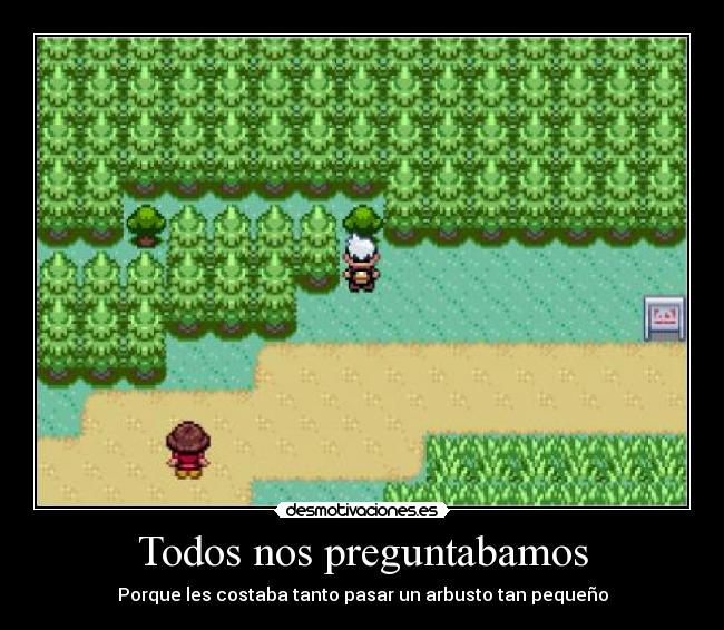 Todos nos preguntabamos - 