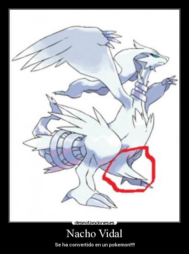 Nacho Vidal - Se ha convertido en un pokemon!!!!