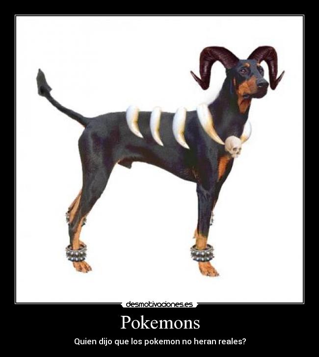 Pokemons - Quien dijo que los pokemon no heran reales?