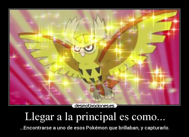 Llegar a la principal es como... - ...Encontrarse a uno de esos Pokémon que brillaban, y capturarlo.