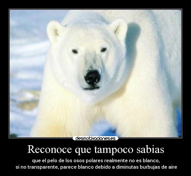 carteles quelejodanalespejo desmotivaciones