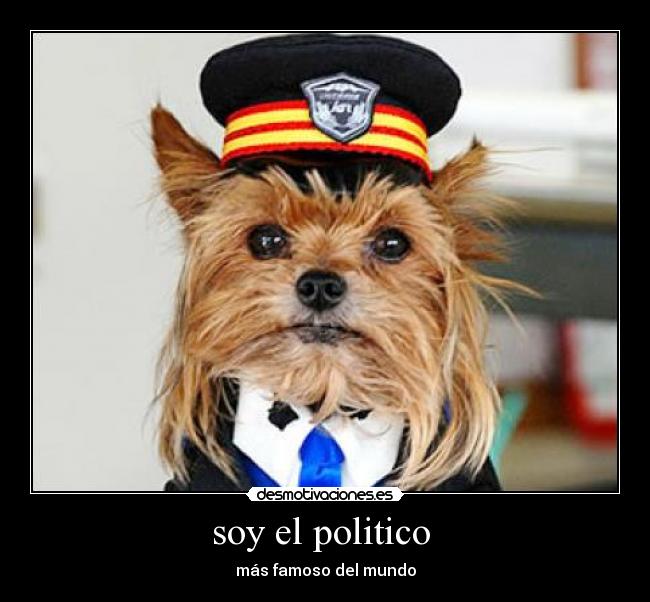 soy el politico -
