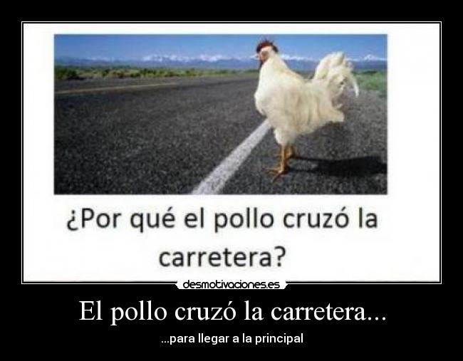 El pollo cruzó la carretera... - 