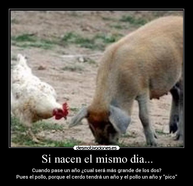 Si nacen el mismo dia... -