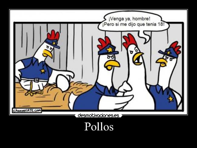 Pollos -