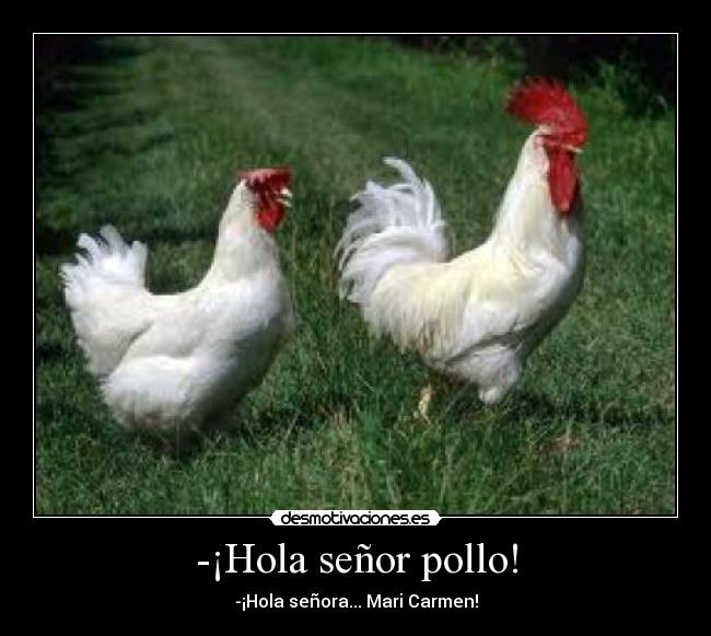 -¡Hola señor pollo! -