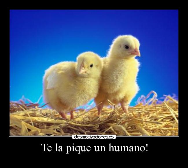 Te la pique un humano! - 