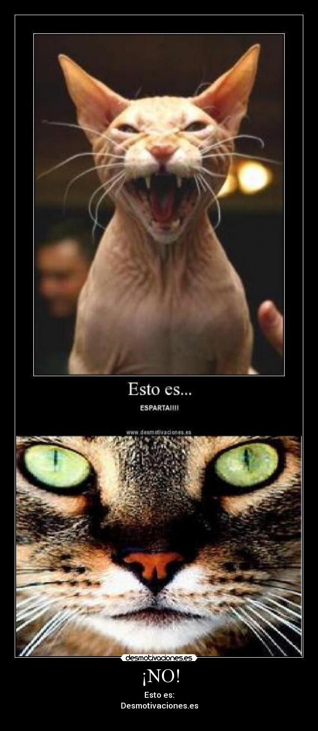 ¡NO! - Esto es:
Desmotivaciones.es
