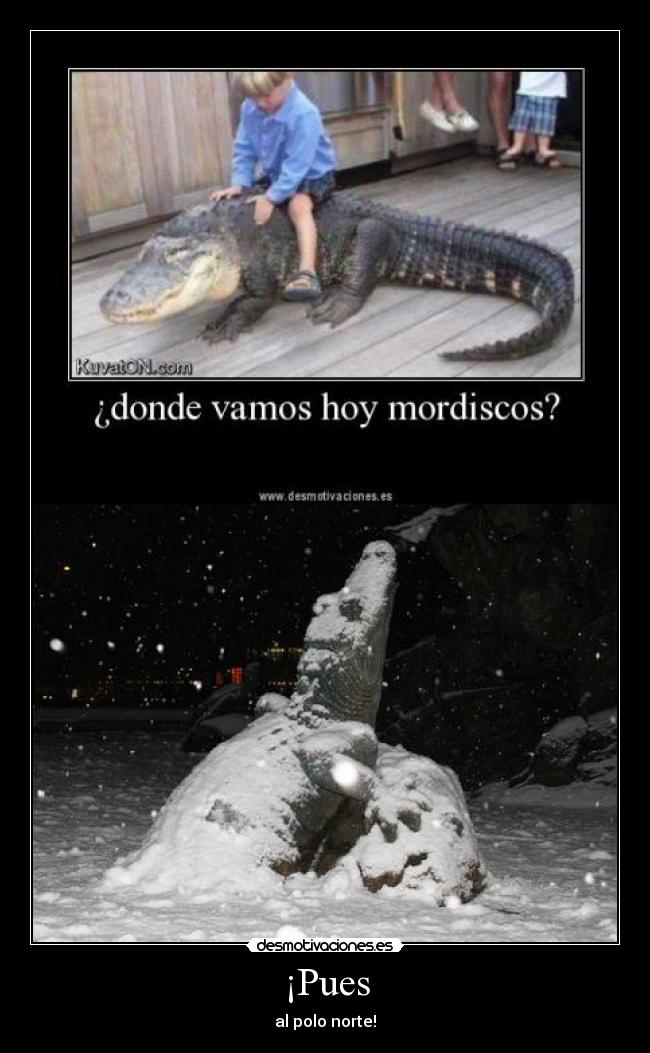 ¡Pues - al polo norte!