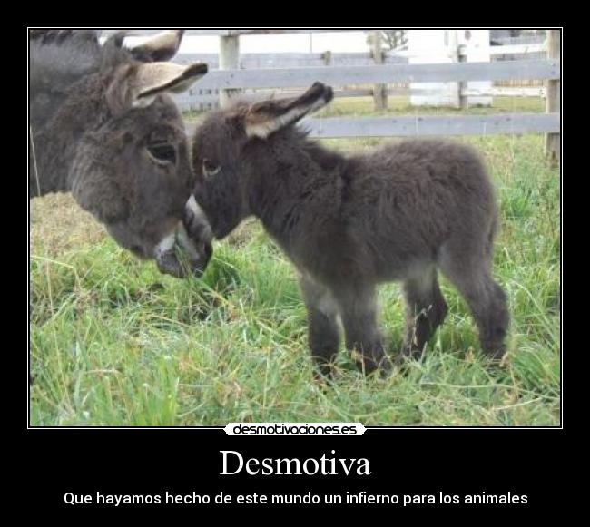 Desmotiva - 
