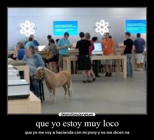 que yo estoy muy loco -