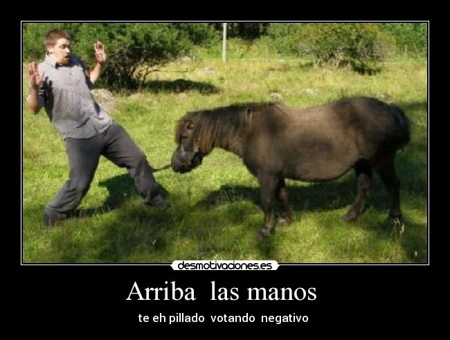 Arriba las manos -