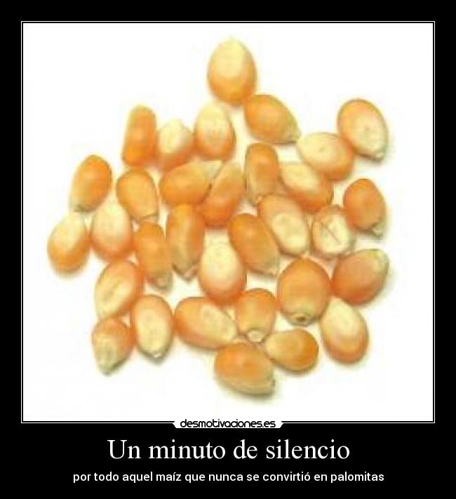 Un minuto de silencio - 