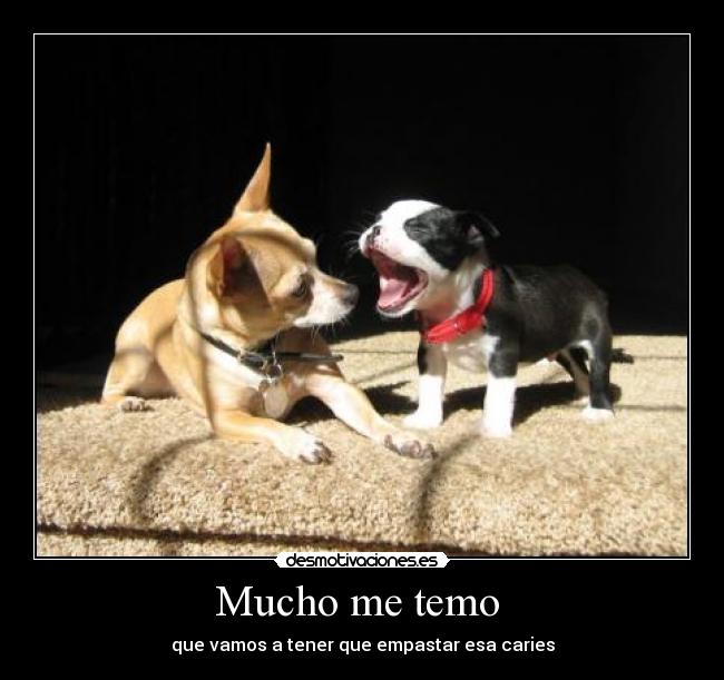 Mucho me temo - que vamos a tener que empastar esa caries