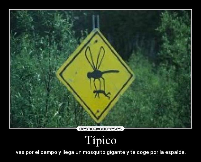 Típico - vas por el campo y llega un mosquito gigante y te coge por la espalda.