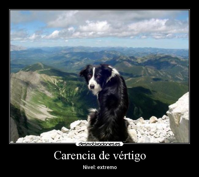 Carencia de vértigo - Nivel: extremo