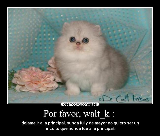 Por favor, walt_k :  - dejame ir a la principal, nunca fui y de mayor no quiero ser un
inculto que nunca fue a la principal.