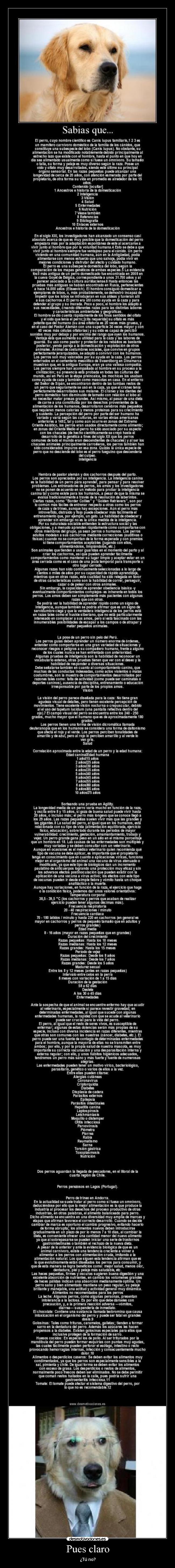 Pues claro - ¿Tú no?