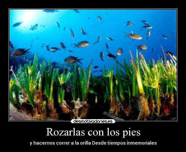 Rozarlas con los pies -