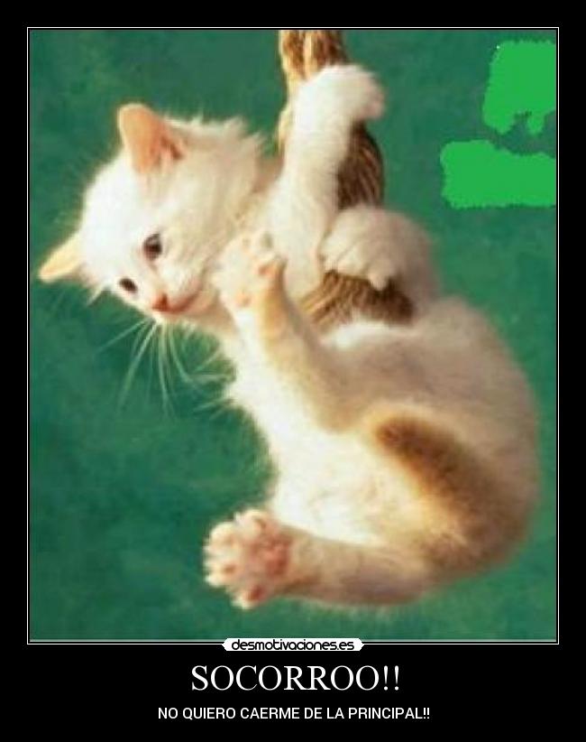 SOCORROO!! -