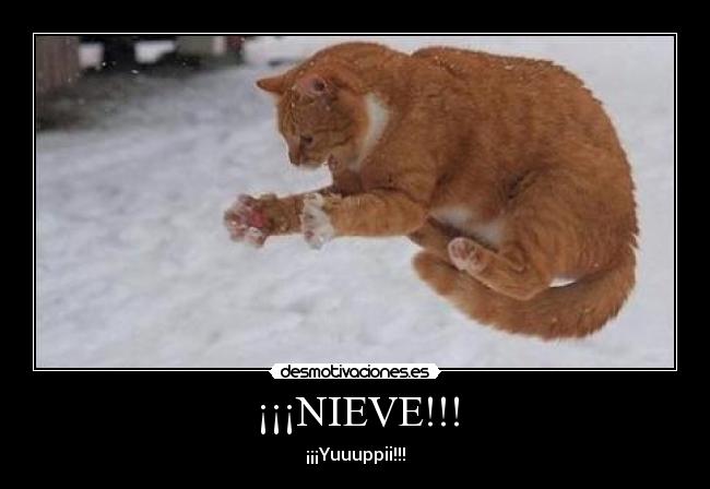 ¡¡¡NIEVE!!! - 