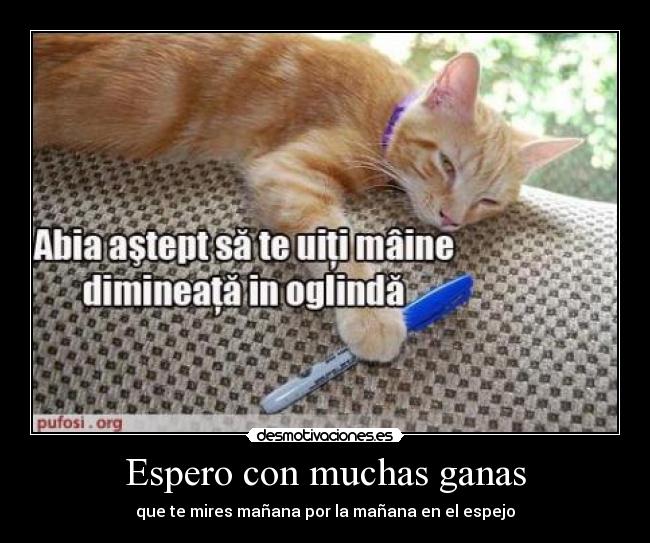 Espero con muchas ganas -