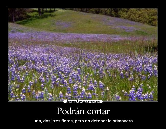 Podrán cortar -