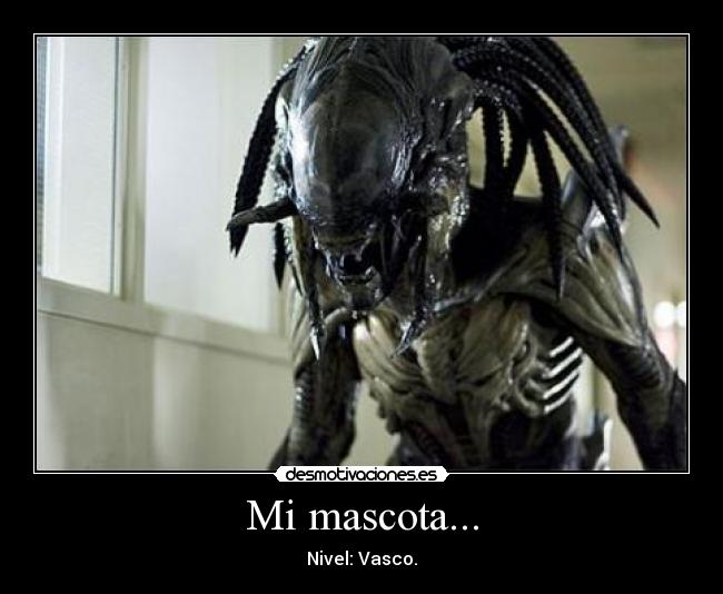 Mi mascota... -