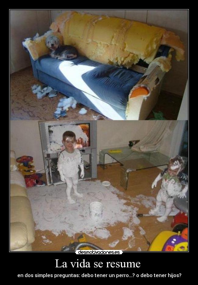 La vida se resume  - en dos simples preguntas: debo tener un perro...? o debo tener hijos?